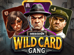 وائلڈ کارڈ گینگ game icon